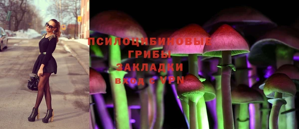 тгк Семилуки