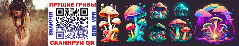 где можно купить наркотик  MEGA ссылка  Галлюциногенные грибы MAGIC MUSHROOMS  Жердевка 